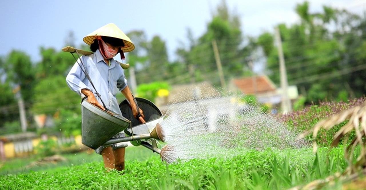 Biệt thự Du lịch Gốm Xưa Hội An Ngoại thất bức ảnh